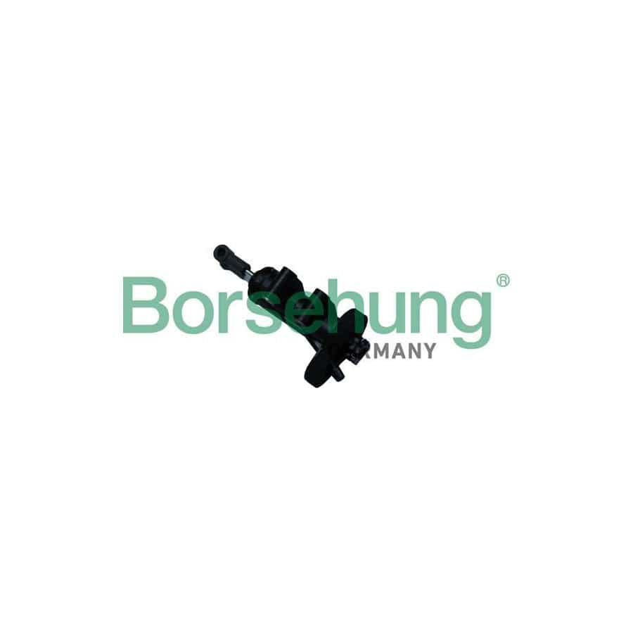 Borsehung B18711 Master Cylinder, Clutch for Audi A6