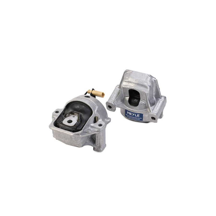 Meyle 100 199 1406/S Engine Mount For Audi Q5 (8Rb)