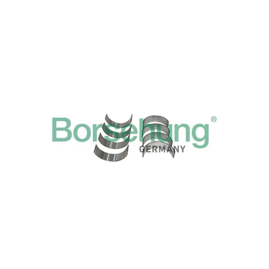 Borsehung B11383 Big End Bearings