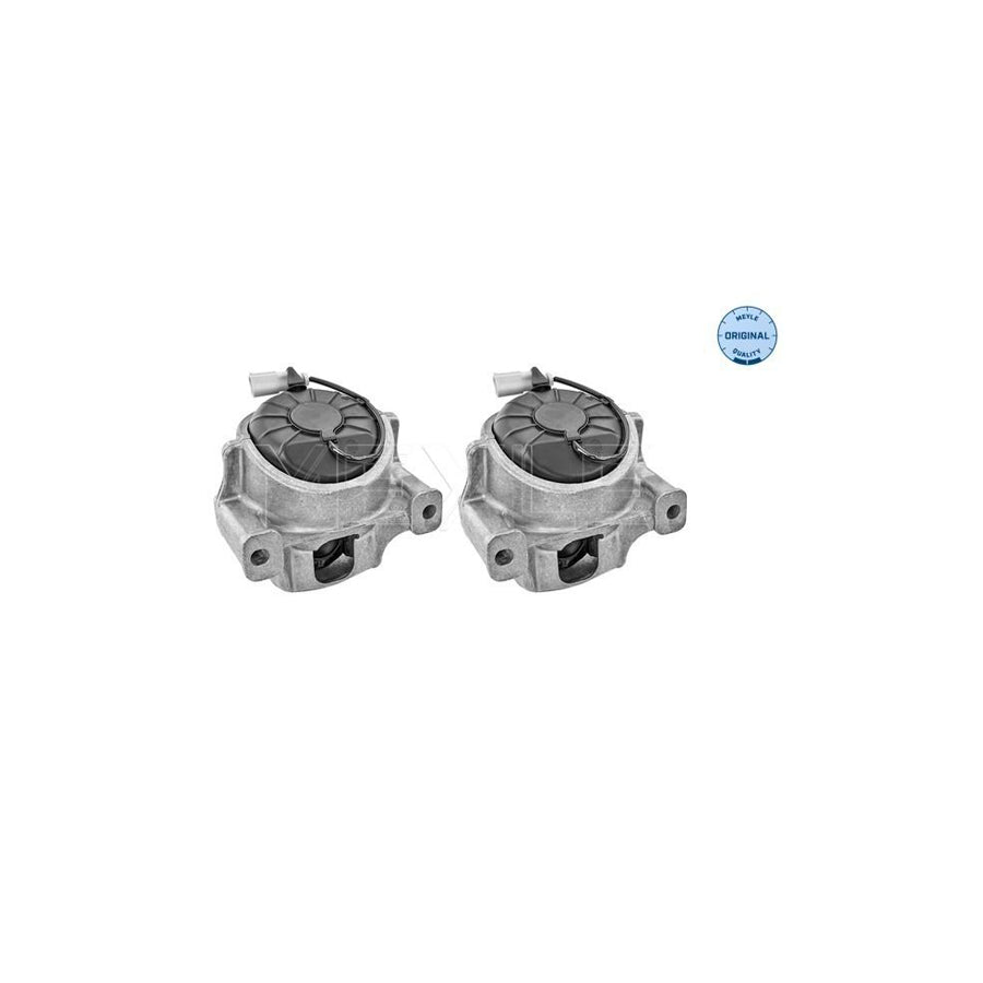 Meyle 100 199 1407/S Engine Mount