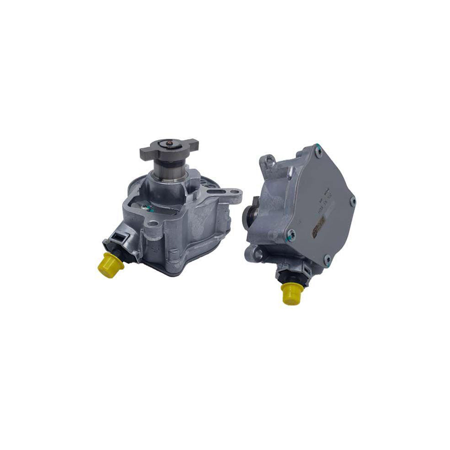 BUGIAD Bgt00021 Brake Vacuum Pump