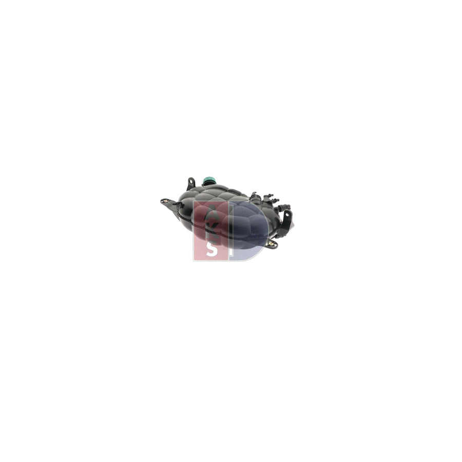 AKS Dasis 133006N Coolant Expansion Tank