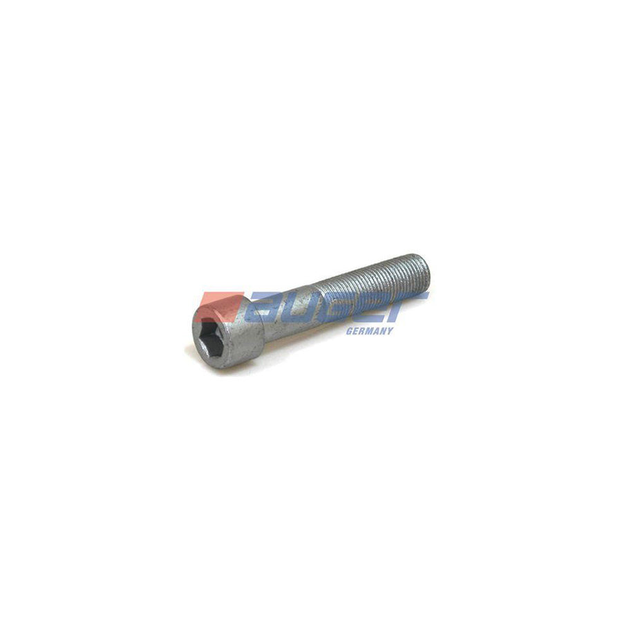 Auger 55307 Screw