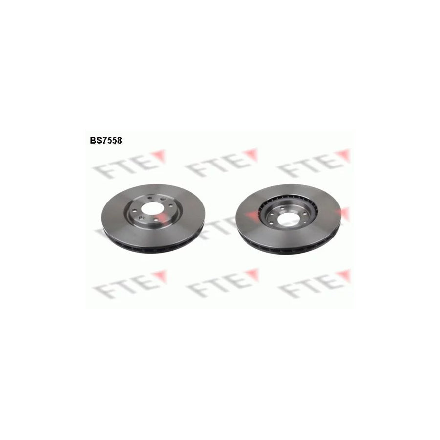 FTE Bs7558 Brake Disc