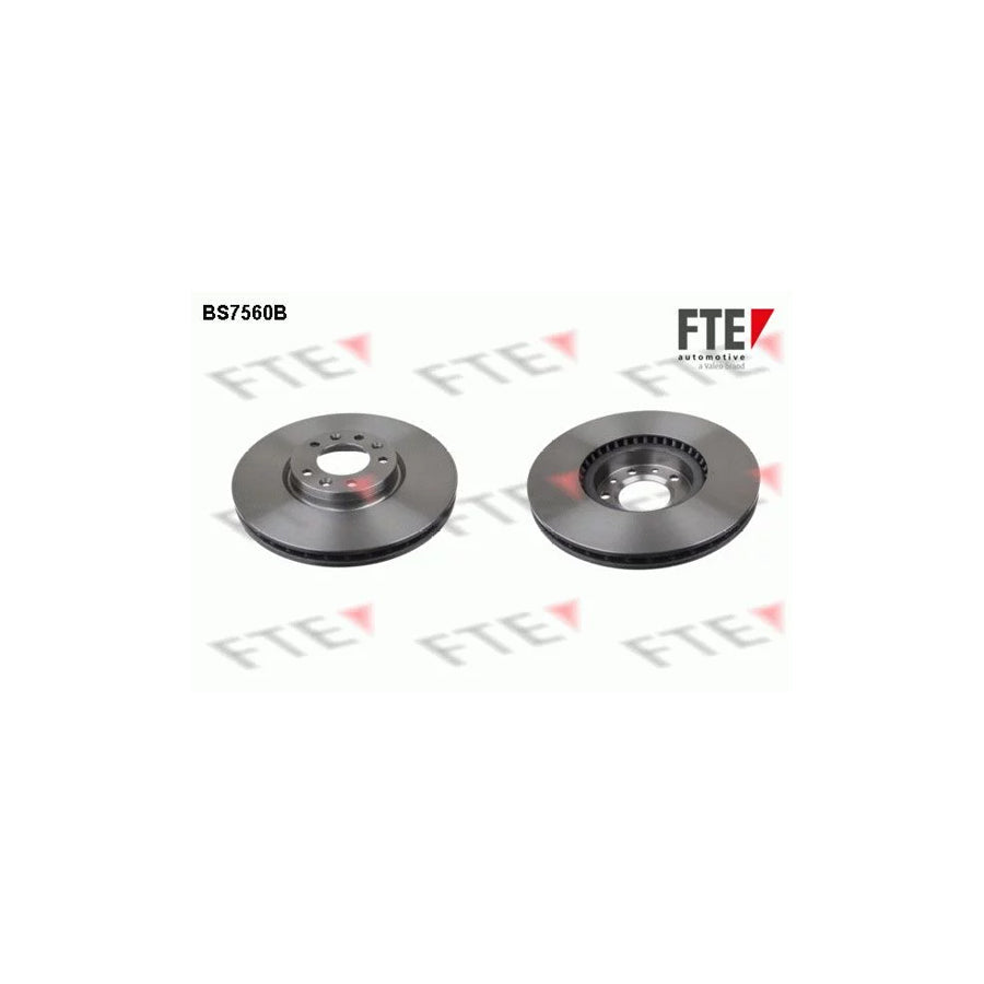 FTE 9081216 Brake Disc