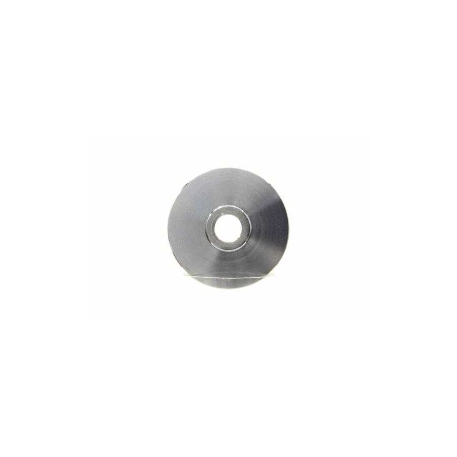 Alanko 10723315 Pulley, Alternator