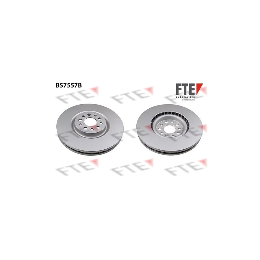 FTE Bs7557B Brake Disc