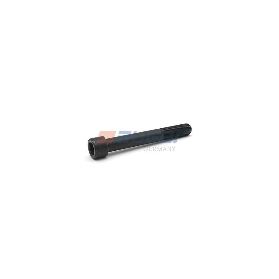 Auger 55323 Screw