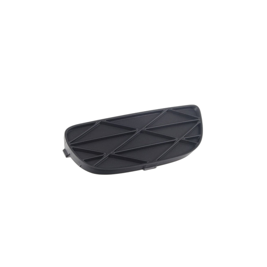 Genuine BMW 51118038288 E70 Closed Grid, Right (Inc. X5 3.5d, X5 3.0d & X5 35dX) | ML Performance UK Car Parts