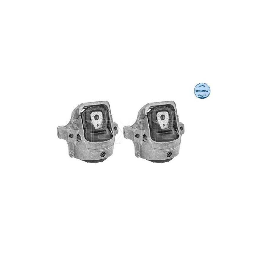 Meyle 100 199 3017 Engine Mount