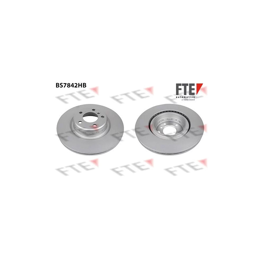 FTE 9081213 Brake Disc