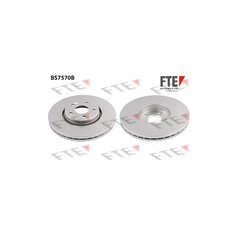 FTE Bs7570B Brake Disc for Renault Scã Nic I (Ja0/1, Fa0)