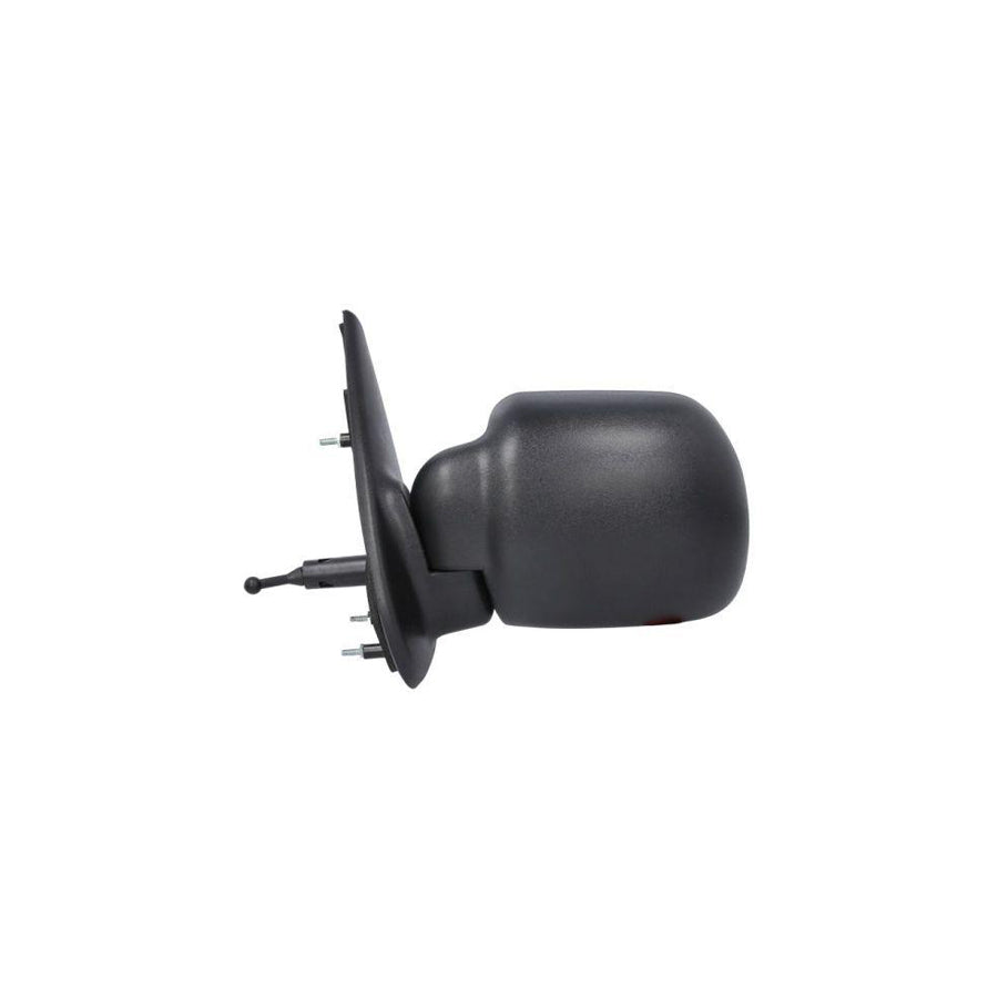Blic 5402-04-9291151P Wing Mirror For Renault Kangoo