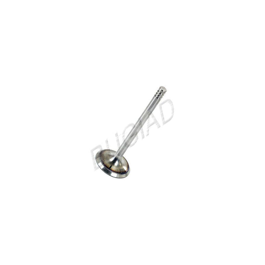 BUGIAD Bsp21696 Inlet Valve