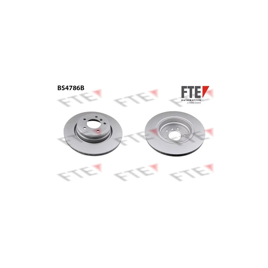 FTE 9081244 Brake Disc