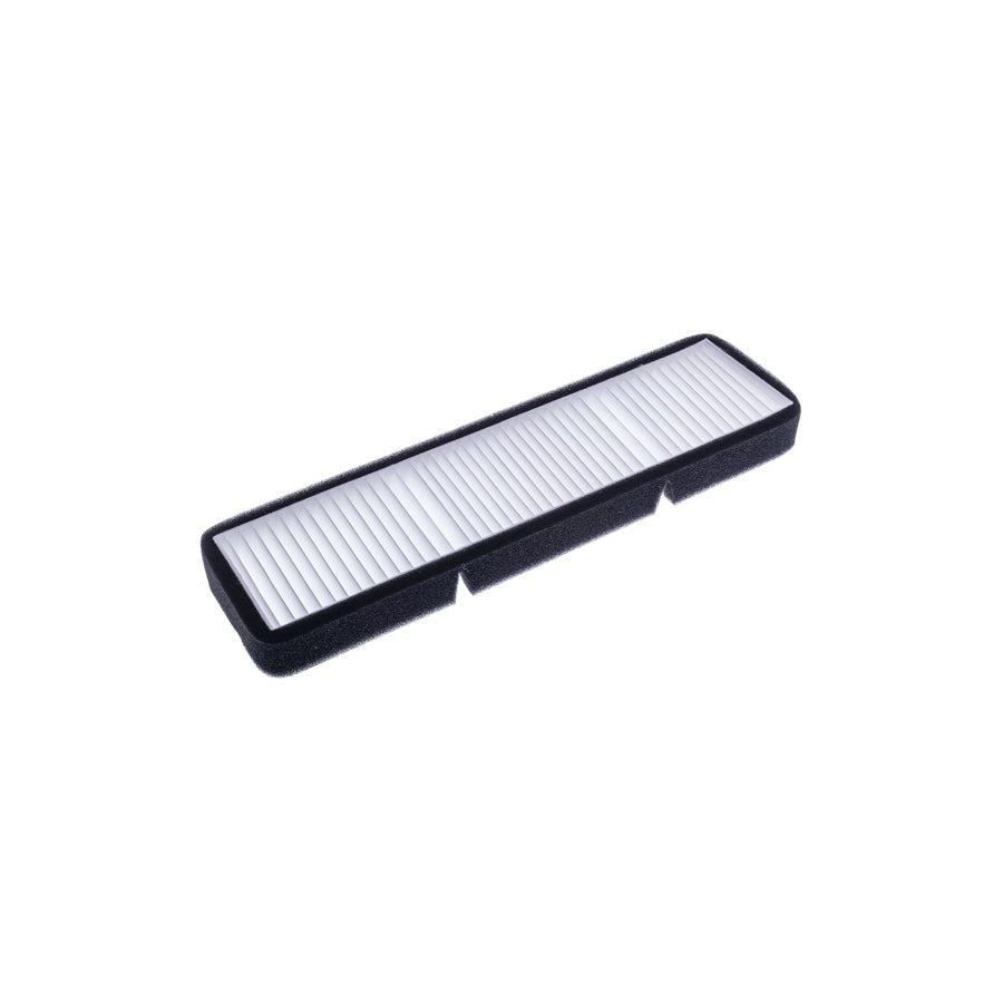 Denckermann M111030 Pollen Filter for Tesla Model 3 (5Yj3)
