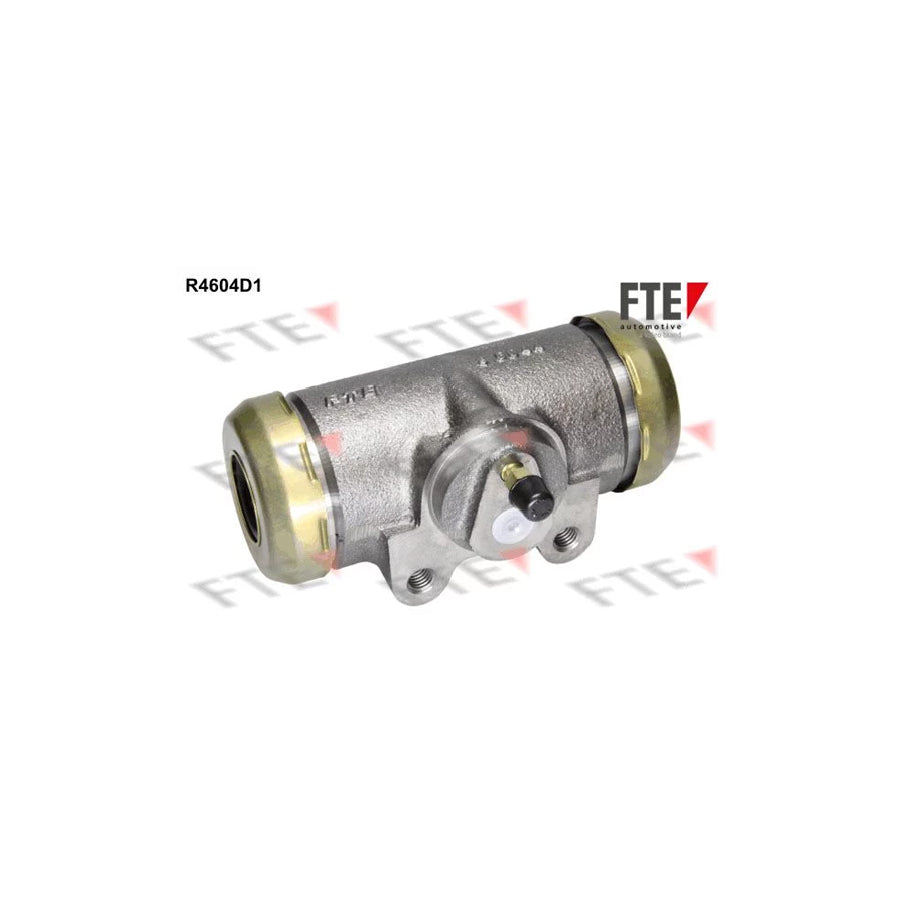 FTE R4604D1 Wheel Brake Cylinder