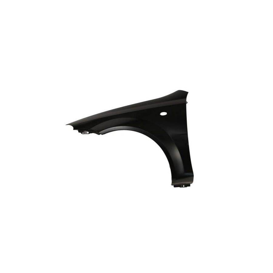 Blic 6504-04-1132313P Wing Fender