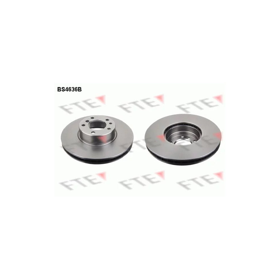 FTE 9081243 Brake Disc