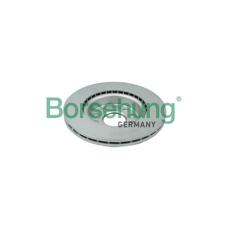 Borsehung B11376 Brake Disc