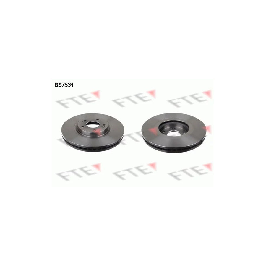 FTE 9071336 Brake Disc for Hyundai Ix55 (En)