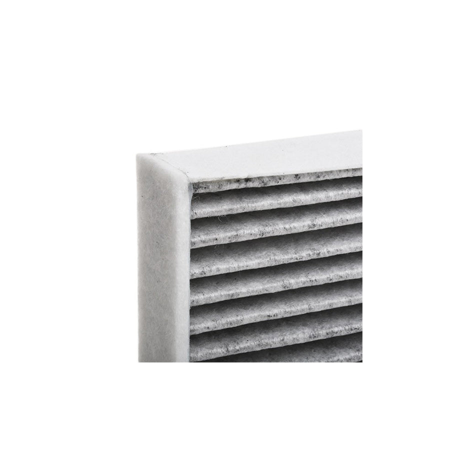 Blue Print Ada102508 Pollen Filter