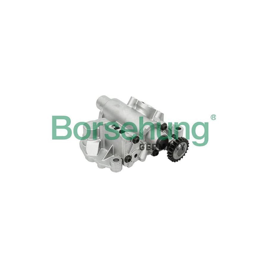 Borsehung B18737 Oil Pump