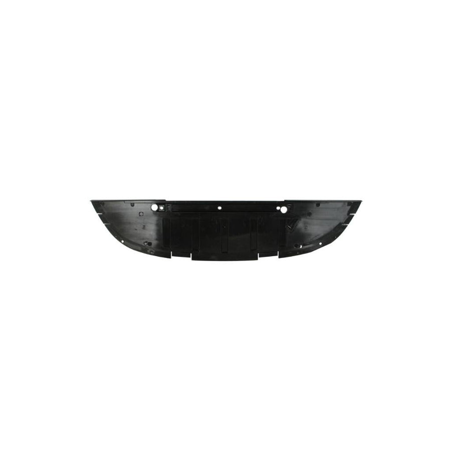 Blic 5511-00-6042995Q Skid Plate For Renault Scénic II (Jm)
