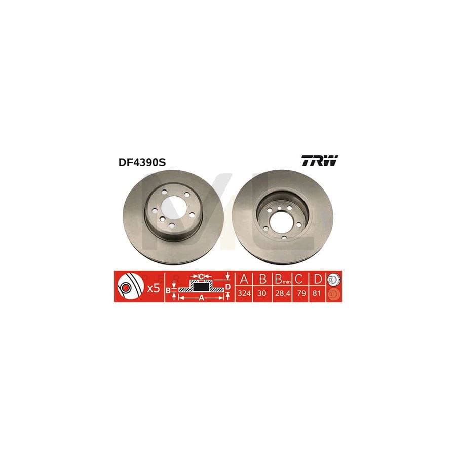 TRW DF4390S Brake Disc for BMW 7 (E65, E66, E67) Vented, Painted, High-carbon | ML Performance Car Parts