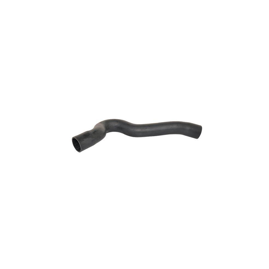 BUGIAD 88571 Charger Intake Hose for Citroen C5