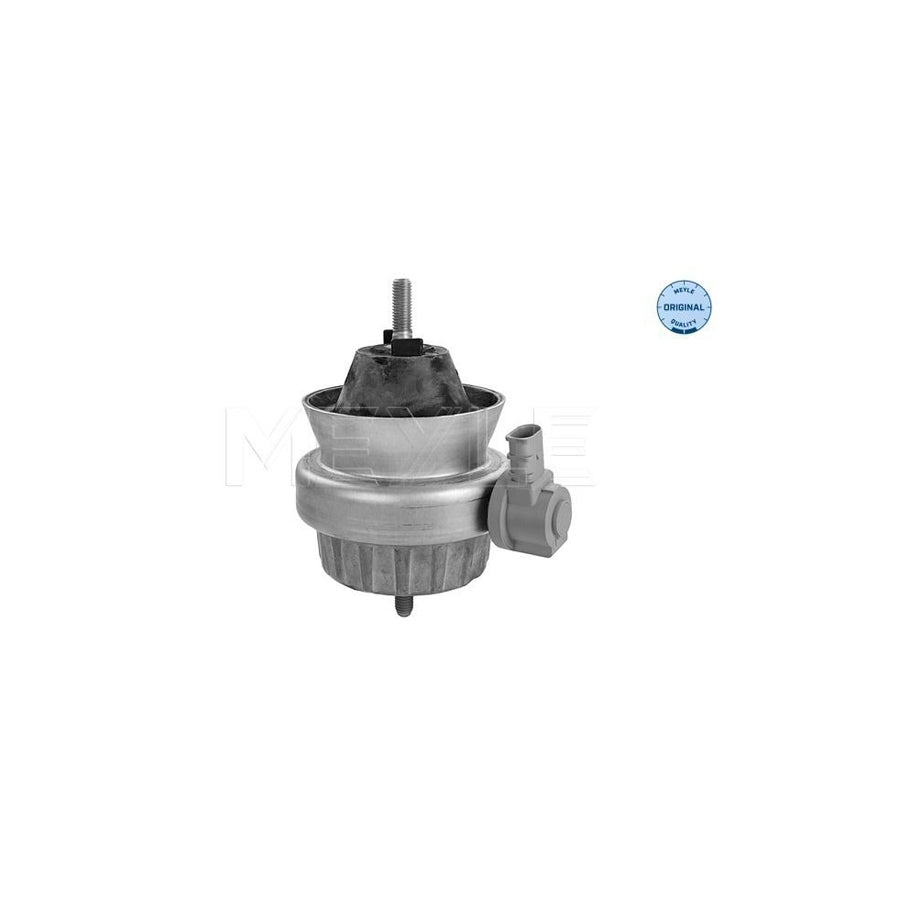 Meyle 100 199 3160 Engine Mount For Audi A6