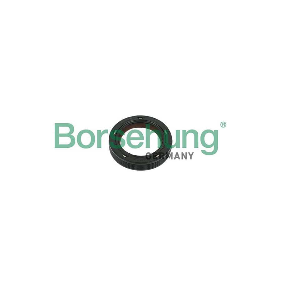 Borsehung B18729 Camshaft Seal