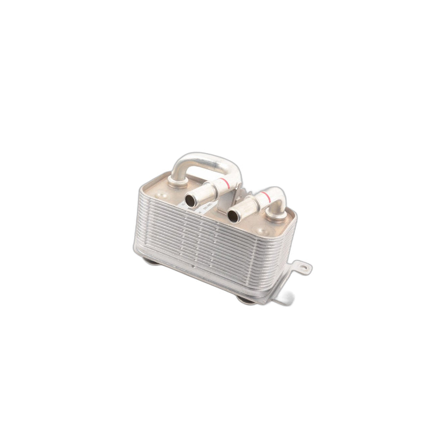 Genuine BMW 17217541059 E65 E66 Heat Exchanger (Inc. 750Li, 750i & 740i) | ML Performance US Car Parts