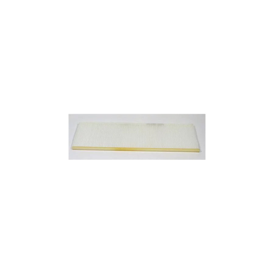 Fleetguard Af55721 Pollen Filter