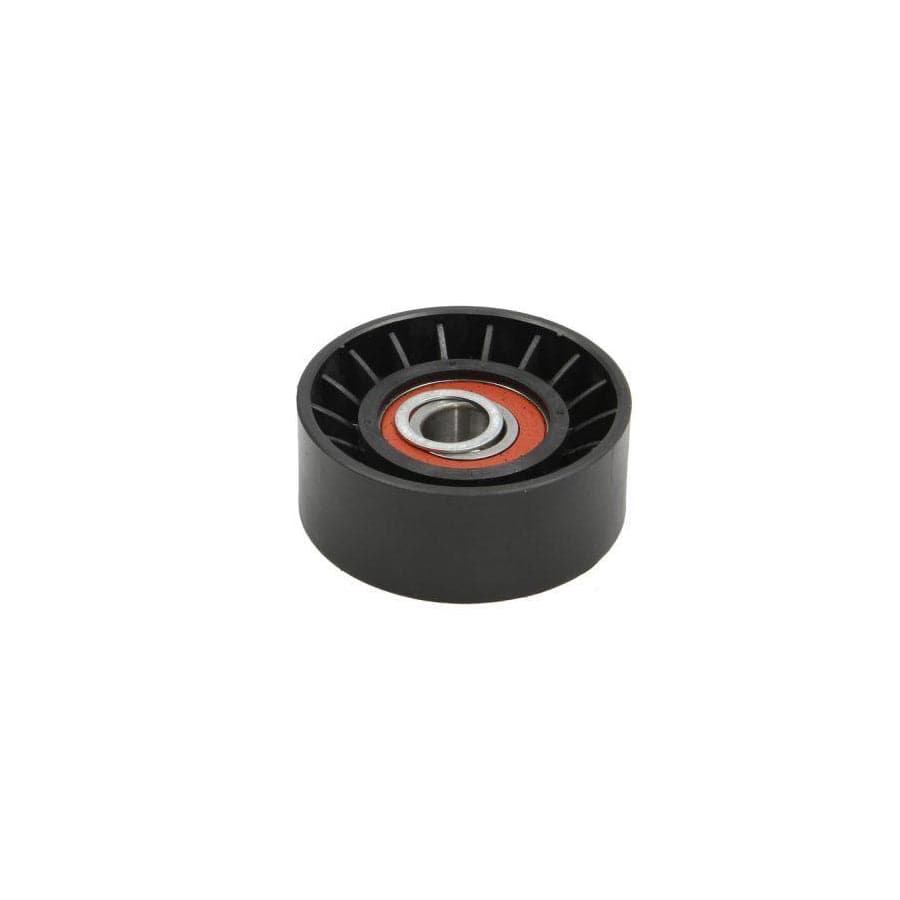 BTA E2B0020BTA Tensioner Pulley