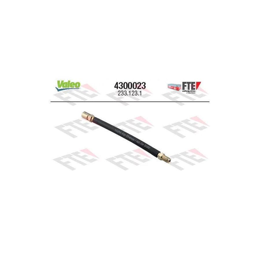 FTE 4300023 Clutch Hose