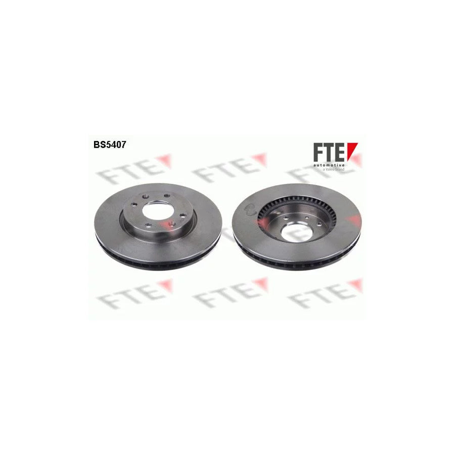 FTE Bs5407 Brake Disc