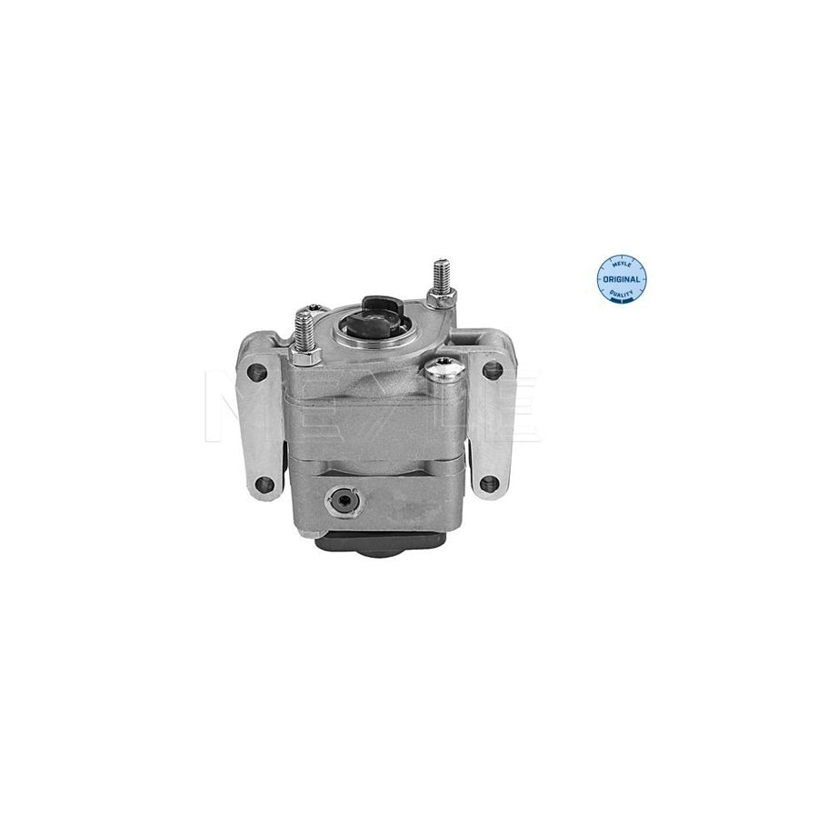 Meyle 39-12 319 0003 Pollen Filter For Daihatsu Terios Ii (J2)