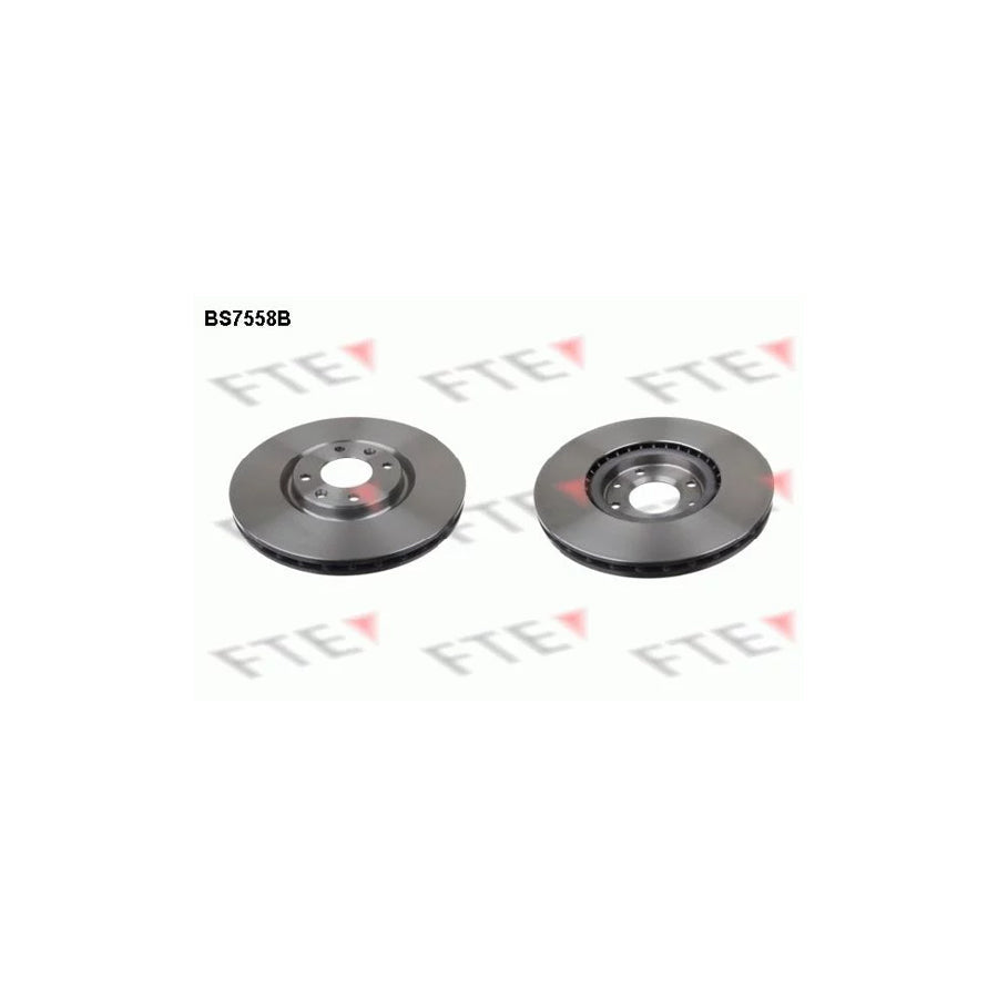 FTE 9081228 Brake Disc