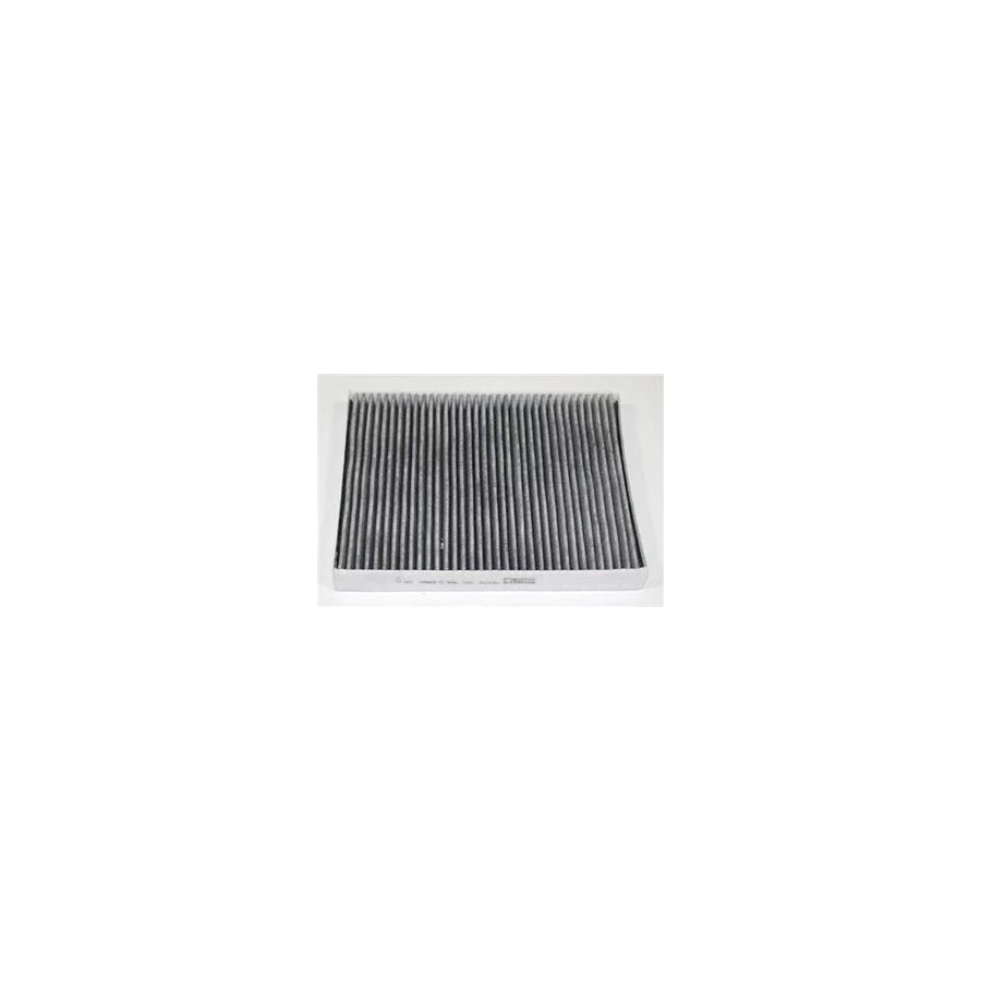 Fleetguard Af55715 Pollen Filter