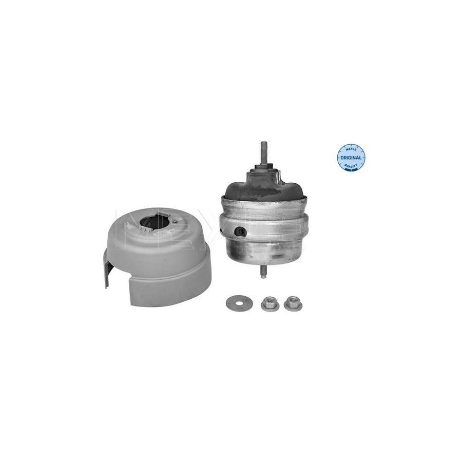 Meyle 100 199 3181 Engine Mount