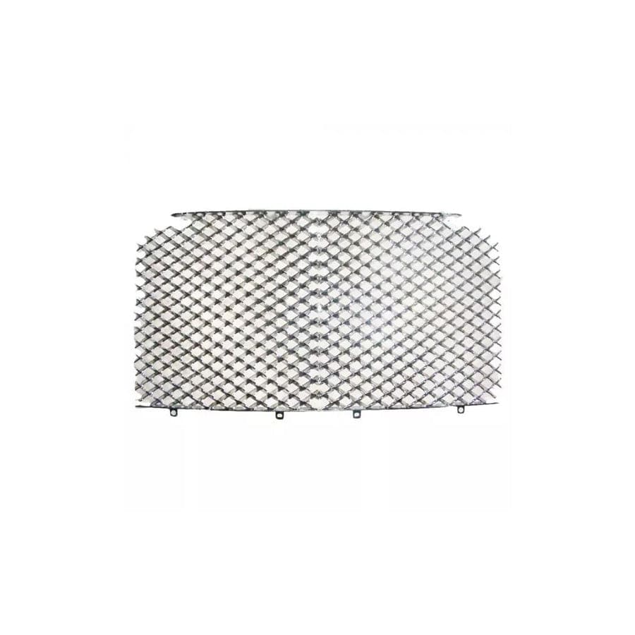 GENUINE Rolls-Royce & Bentley PS31496PA GRILLE MATRIX RADIATOR