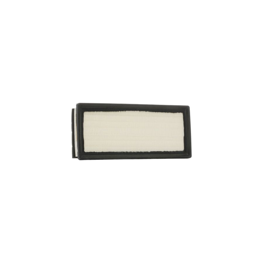 Ridex 8A0179 Air Filter