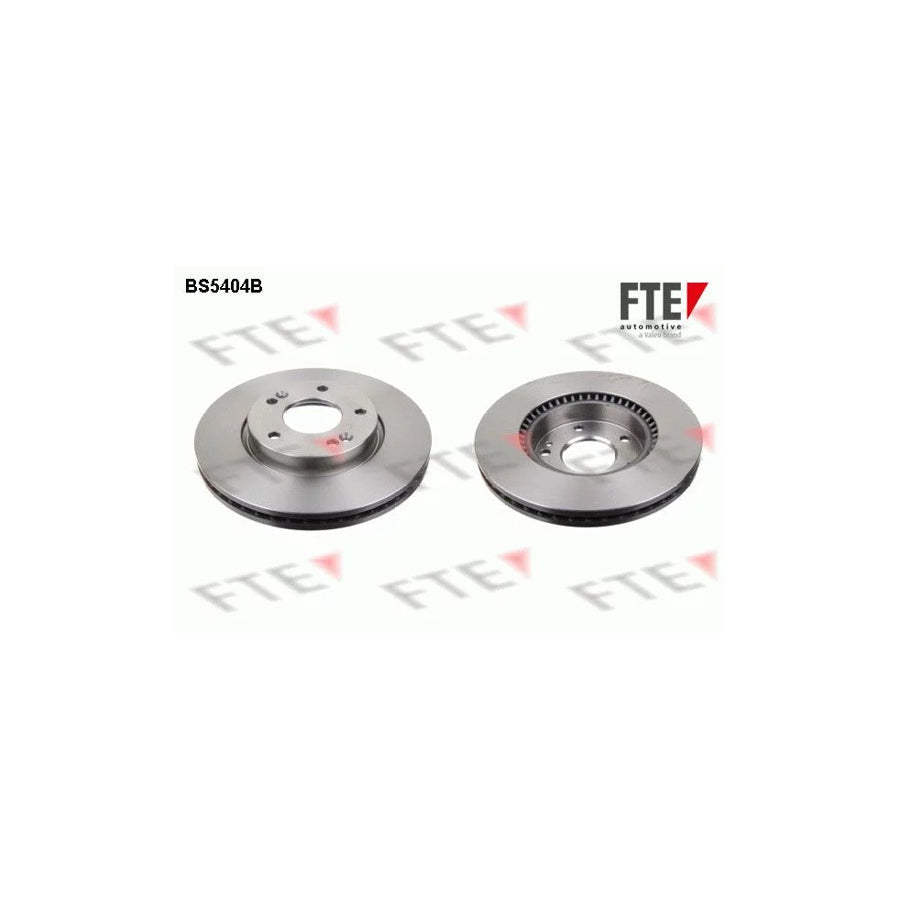 FTE Bs5404B Brake Disc