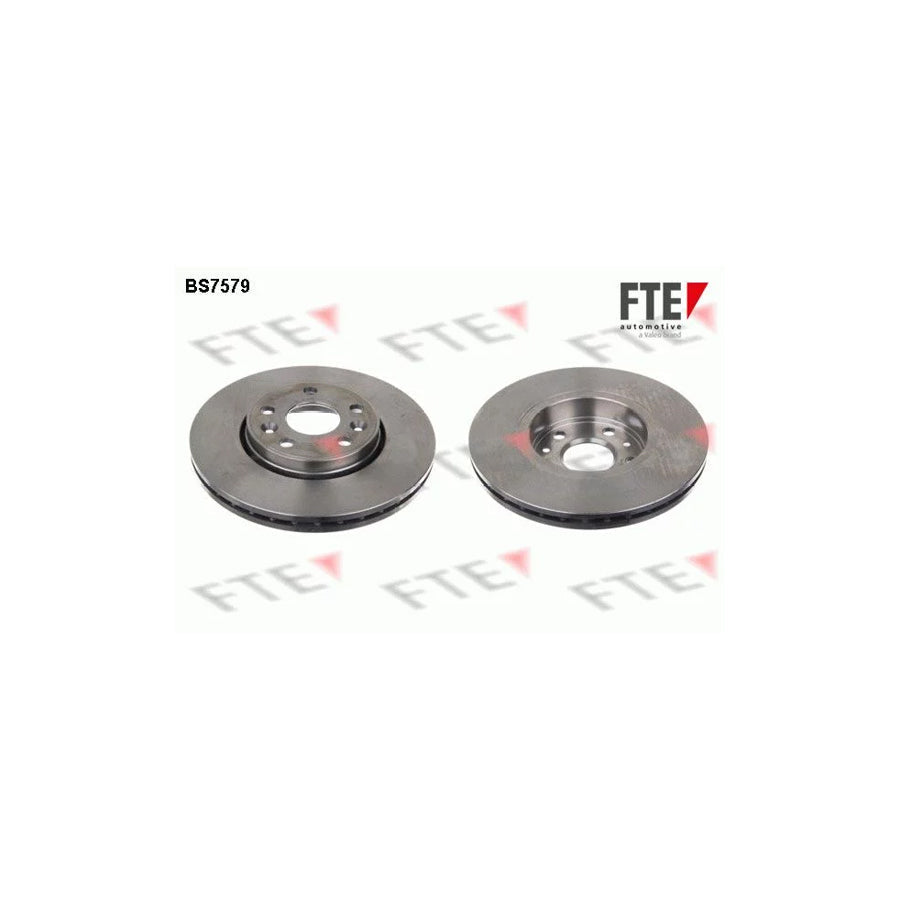 FTE Bs7579 Brake Disc for Renault Megane