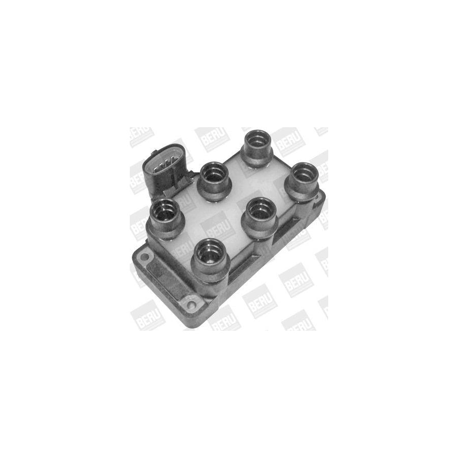 Beru Zs371 Ignition Coil