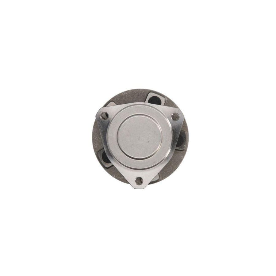BTA H1Y063BTA Wheel Bearing Kit
