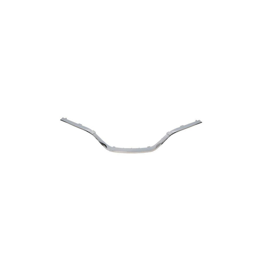 Blic 6502-07-6047994P Trim / Protective Strip, Radiator Grille For Renault Scénic IV (J95)