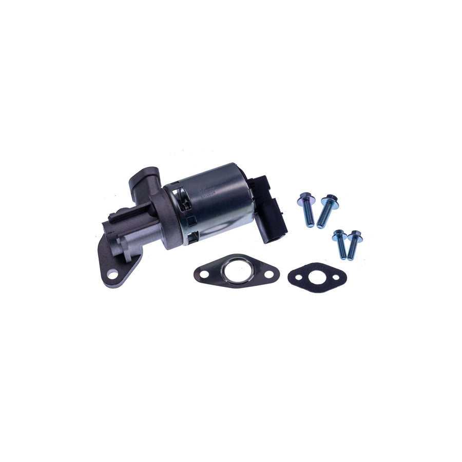 Denckermann E400024 Egr Valve