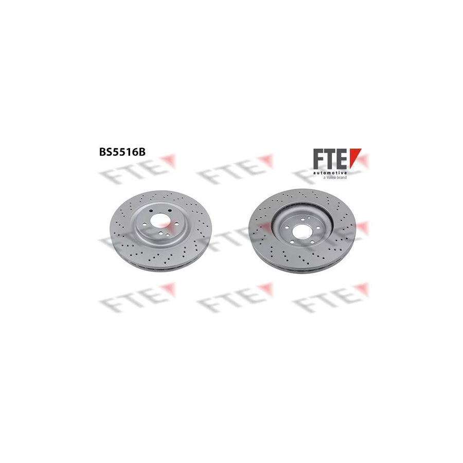 FTE 9081251 Brake Disc